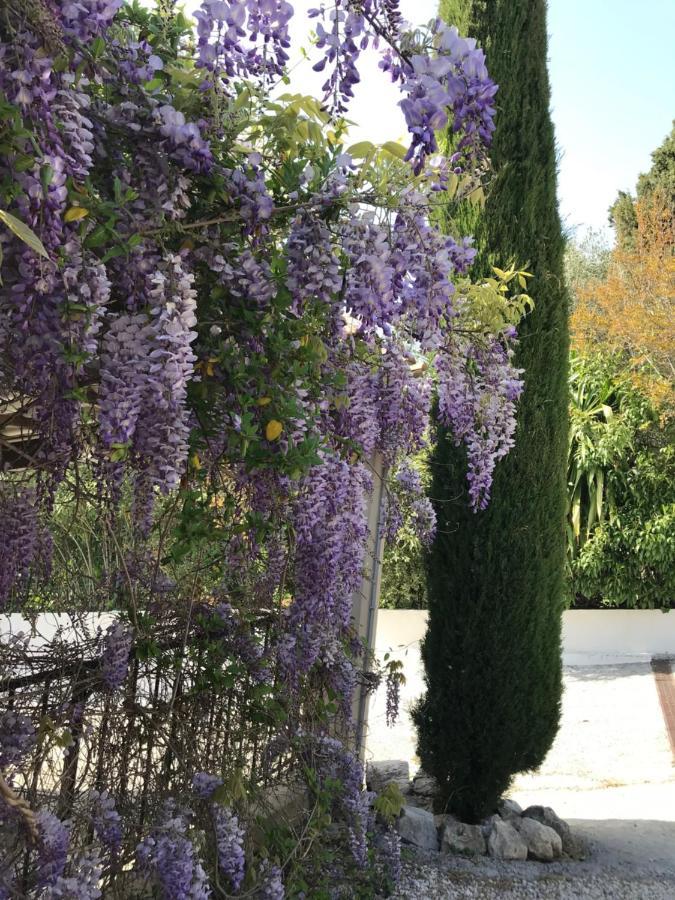 Bastide Nomade - Guest House Saint-Paul-de-Vence Zewnętrze zdjęcie